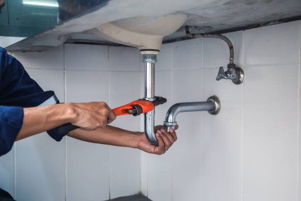 Best Local Plumber Services  in Columbus, NE